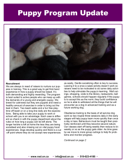 Puppy Program Update - National Service Dogs