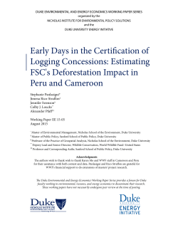 Early Days in the Certification of Logging Concessions: Estimating