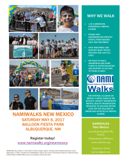 NAMIWalks 2017 Flyer