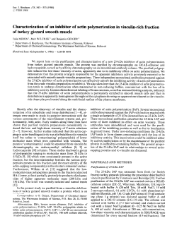 Characterization of an inhibitor of actin polymerization in vinculin