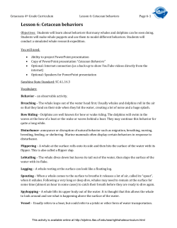 Lesson 6: Cetacean behaviors