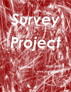 Mario Sandri www.mariosandri.it