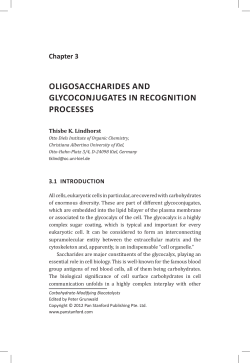 OligOsaCCharides and glyCOCOnjugates in reCOgnitiOn PrOCesses