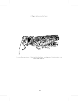 (Orthopteroidea) of the Yukon (V.R. Vickery)