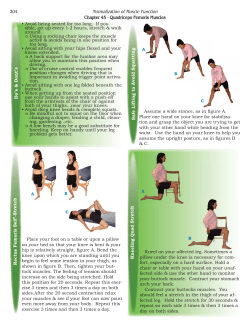 Quadriceps Femoris Muscles