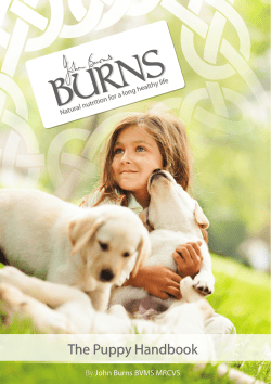 Puppy Guide - Burns Pet Nutrition