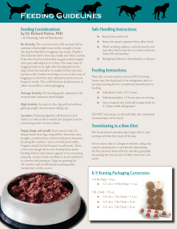 Feeding Guidelines - K