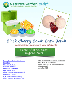 Black Cherry Bomb Bath Bomb