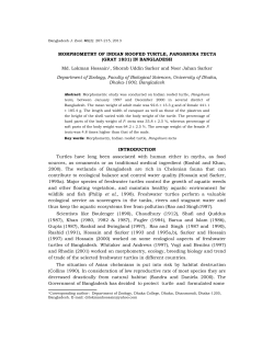 MORPHOMETRY OF INDIAN ROOFED TURTLE, PANGSHURA
