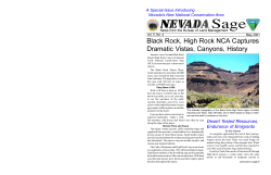 copy of a BLM publication about the Blackrock Area