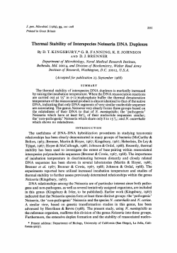 Thermal Stability of Interspecies Neisseria DNA