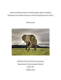 Global and National Factors Facilitating the African Elephant