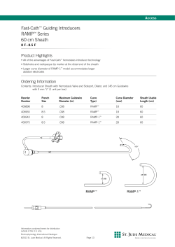 Fast-Cath&trade; Guiding Introducers RAMP&trade; Series 60 cm Sheath