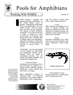 Pools for Amphibians | NC State Extension Publications