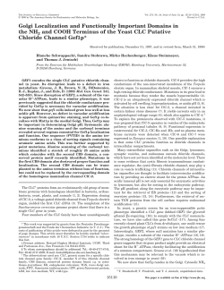 Golgi Localization and Functionally Important Domains in the NH2