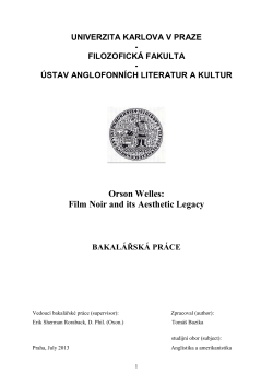 Bazika, Noir, BA thesis