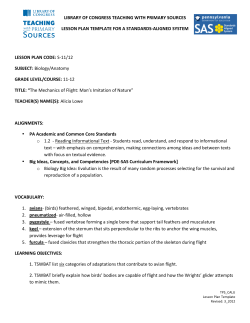 Mechanics of Flight: Man`s Imitation of Nature