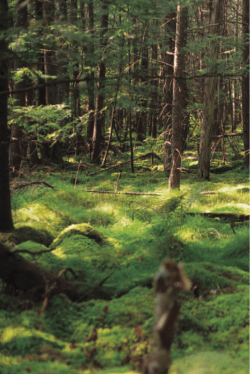 Untitled - Vermont Fish and Wildlife