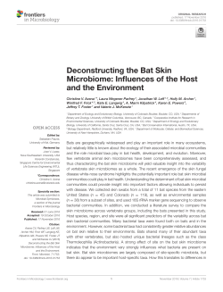 Deconstructing the Bat Skin Microbiome: Influences