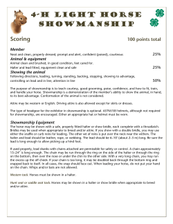 4-H Light Horse Showmanship