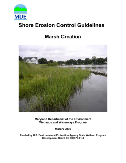 Recommendations for Non-structural Shore Erosion Control Projects