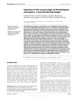 Induction of the sexual stage of Pestalotiopsis