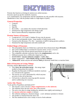 General Properties Protein Nature of Enzymes Folded Shape of