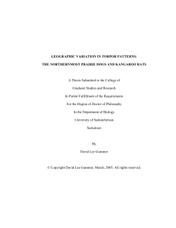 Gummer_thesis - eCommons@USASK