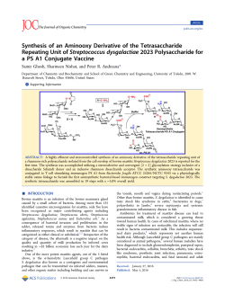 Synthesis of an Aminooxy Derivative of the Tetrasaccharide