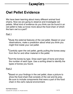 Owl Pellet Evidence