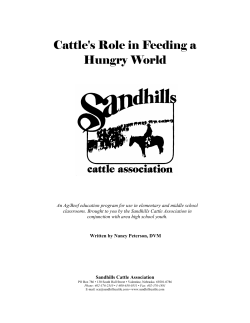 Cattle Feeding a Hungry World - Sandhills Cattle Association