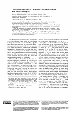 Carotenoid Composition of Chlorophyll-Carotenoid