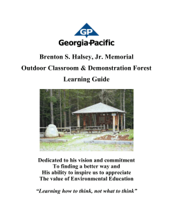 Demonstration Forest - Maine Tree Foundation