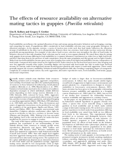 The effects of resource availability on alternative mating