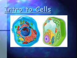 Intro to Cells