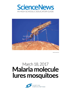 Malaria molecule lures mosquitoes