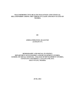 male reproductive health challenges and conjugal relationships