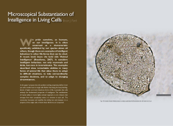 Intelligence in Living Cells