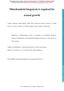 Mitochondrial biogenesis is required for axonal growth