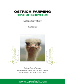 Pak tittle - Pakistan Ostrich Company