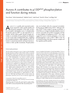 Aurora A contributes to p150glued phosphorylation and function