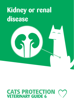 Kidney or renal disease