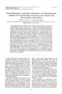 Deoxyribonucleic Acid-Deoxyribonucleic Acid Hybridization