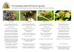guide - Worcester Beekeepers