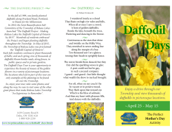 Daffodil Days - Township of Rideau Lakes