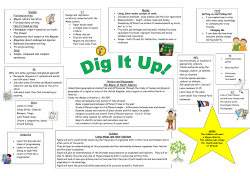 Science History and Geography ` English Fictional writing &bull; Mayan