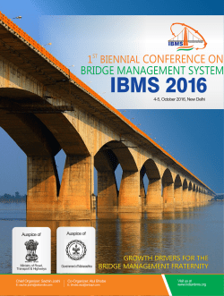 IBMS Brochure (1)