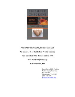 Prisoned Chickens, Poisoned Eggs: An Inside Look at the Modern