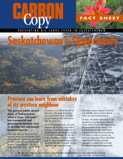 OSF Fact Sheet SIN