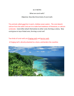 10. 9 NOTES What are coral reefs? Objective: Describe three kinds